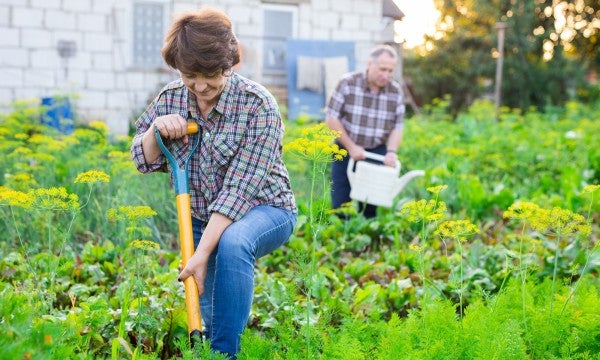 To enjoy gardening without pain, warm up and cool down just like when you exercise.