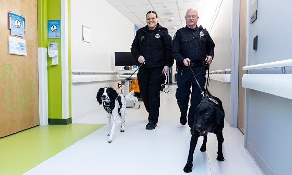 Dexter and Cisco are on the case, keeping LVHN colleagues and patients safe