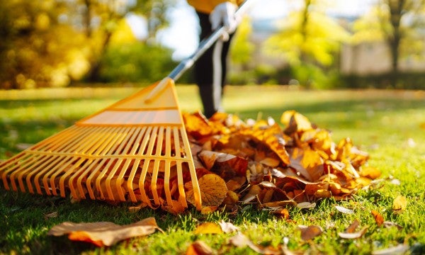 Fall Safety Tips to Keep Your Autumn Accident-Free