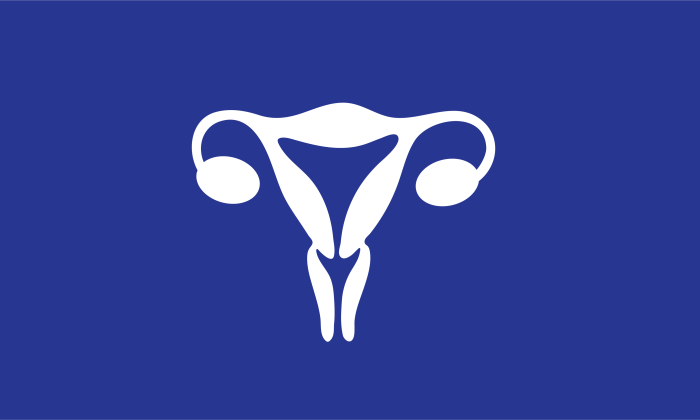 Uterine Fibroids
