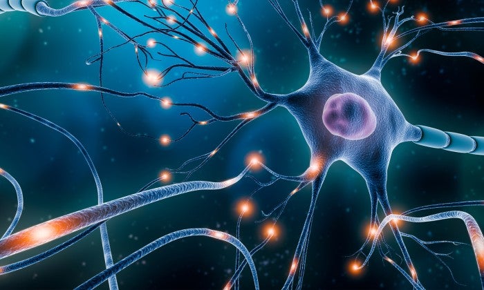 Lehigh Valley Fleming Neuroscience Institute