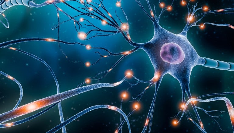 Lehigh Valley Fleming Neuroscience Institute