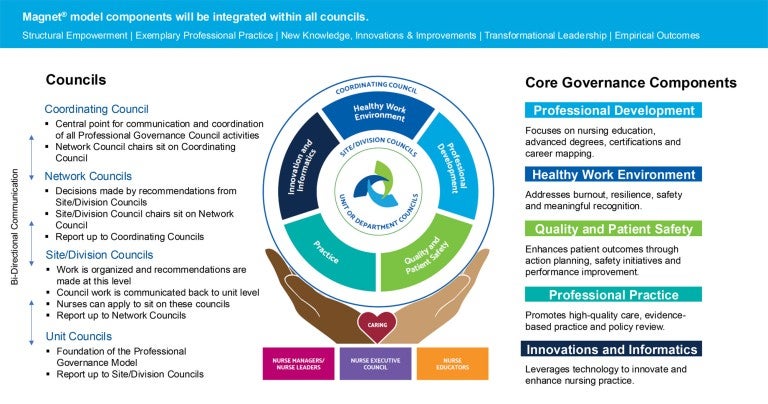 Nursing professional practice model