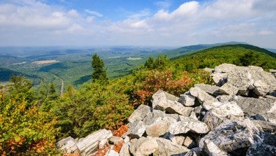 Hawk Mountain
