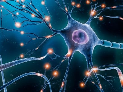 Lehigh Valley Fleming Neuroscience Institute