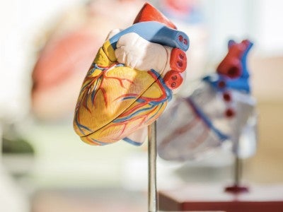 Lehigh Valley Heart and Vascular Institute
